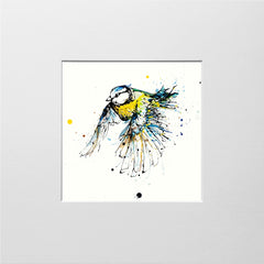 Print Open Edition Animals - Coat of Colour-12 x 12-Unframed