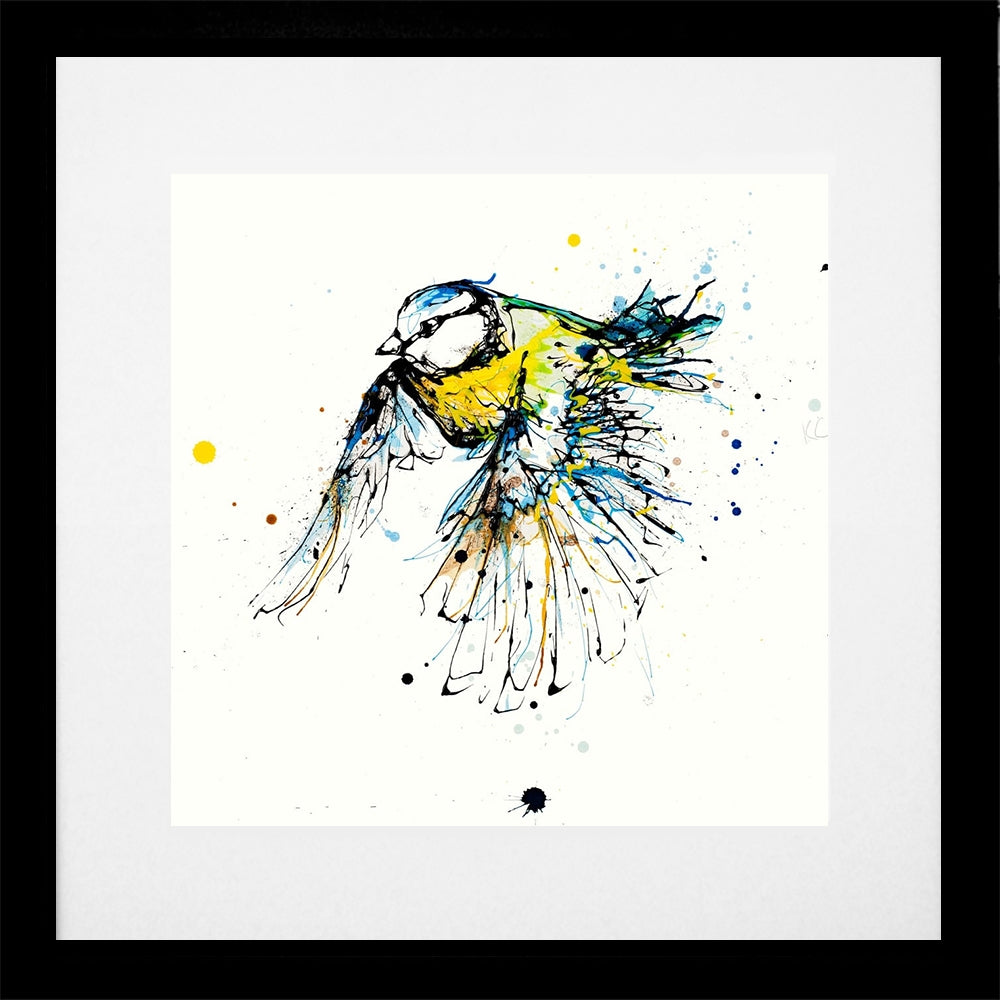 Print Open Edition Animals - Coat of Colour-30 x 30-Black Box Frame (With Mount)
