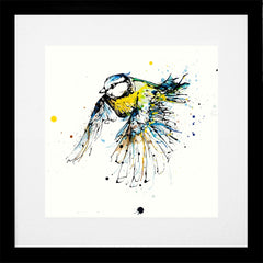 Print Open Edition Animals - Coat of Colour-30 x 30-Black Box Frame (With Mount)