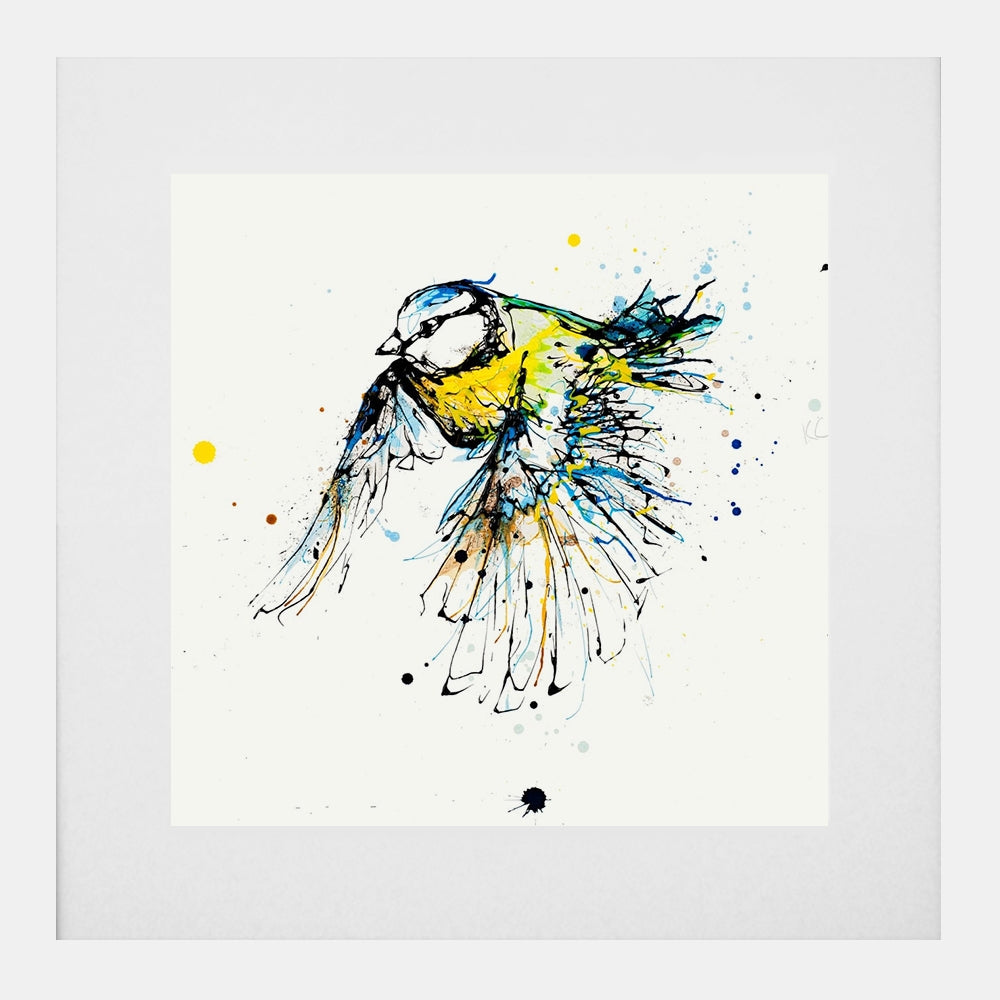 Print Open Edition Animals - Coat of Colour-30 x 30-White Box Frame (With Mount)