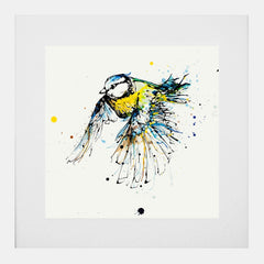 Print Open Edition Animals - Coat of Colour-30 x 30-White Box Frame (With Mount)