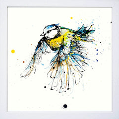 Print Open Edition Animals - Coat of Colour-30 x 30-White Box Frame (No Mount)