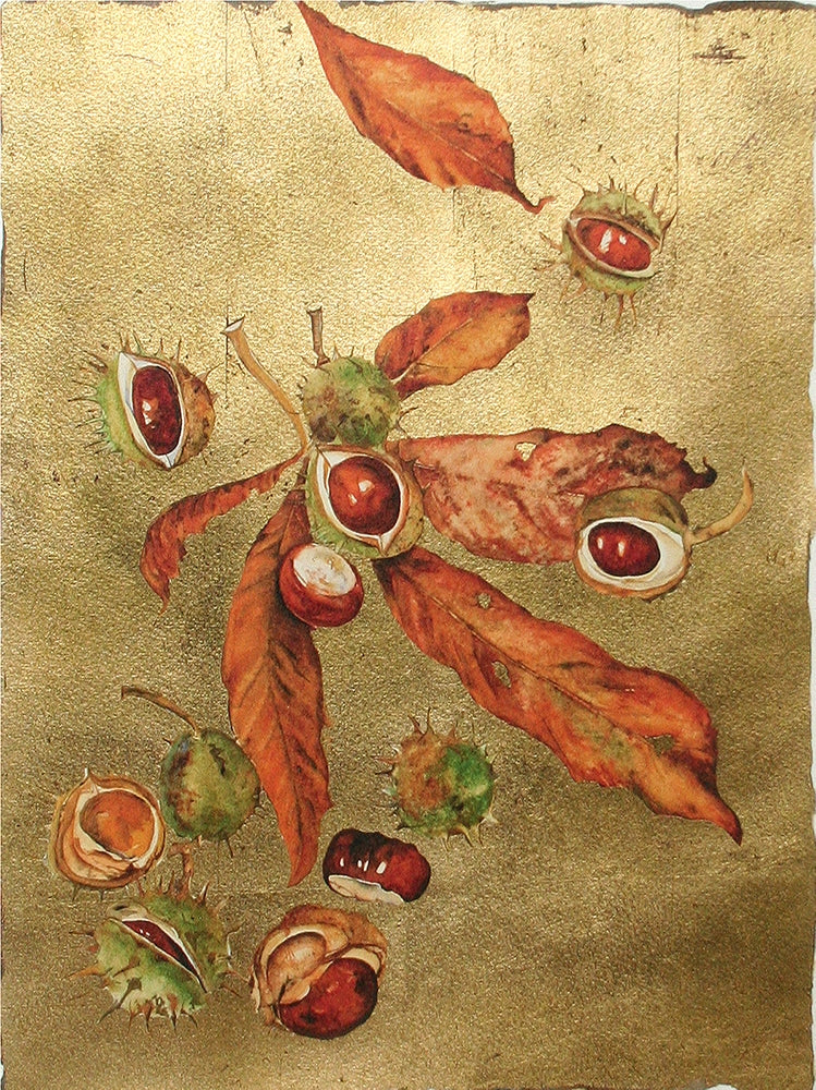 The Lost Words - Conker Premium Edition Artist Proof