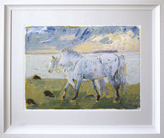 Print - Connemara Ponies Framed