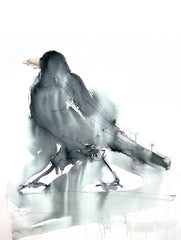 Original - Crow Unframed