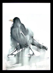 Original - Crow Black Box Frame