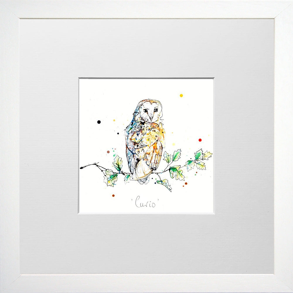 Print Open Edition Animals - Curio-12 x 12-Small Flat White Frame