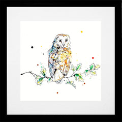 Print Open Edition Animals - Curio-30 x 30-Black Box Frame (With Mount)