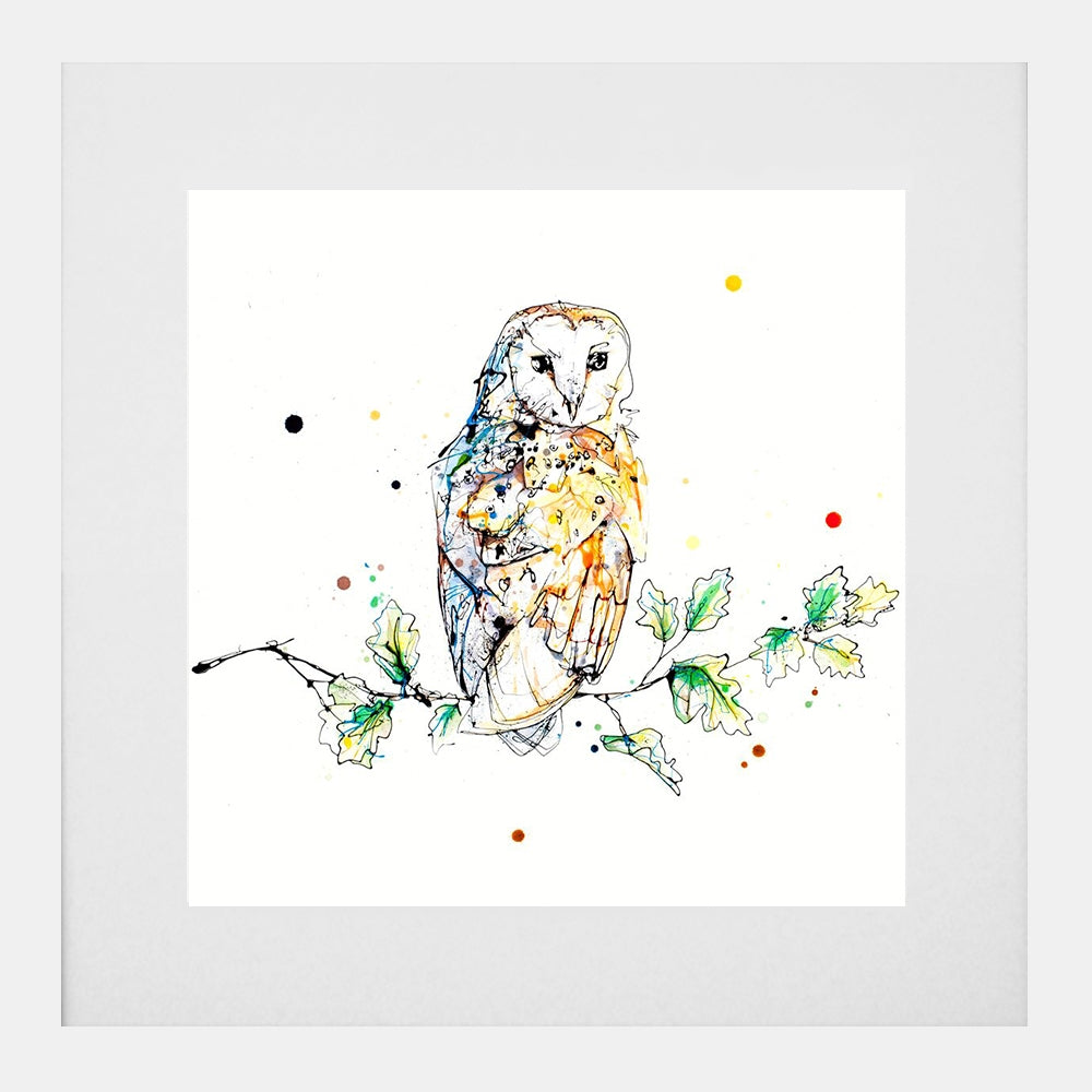 Print Open Edition Animals - Curio-30 x 30-White Box Frame (With Mount)