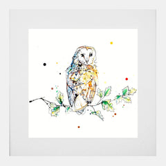 Print Open Edition Animals - Curio-30 x 30-White Box Frame (With Mount)