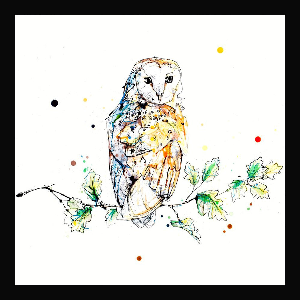 Print Open Edition Animals - Curio-30 x 30-Black Box Frame (No Mount)