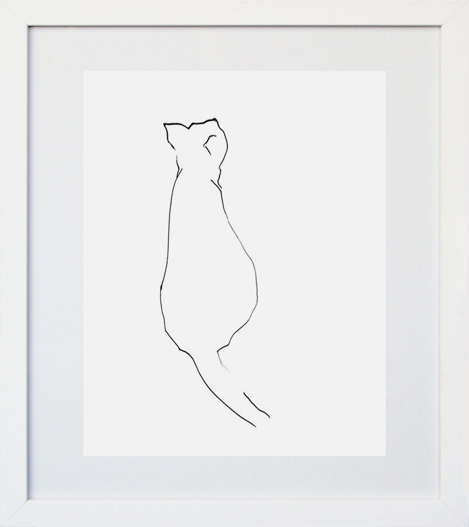 Curious Cat White Frame