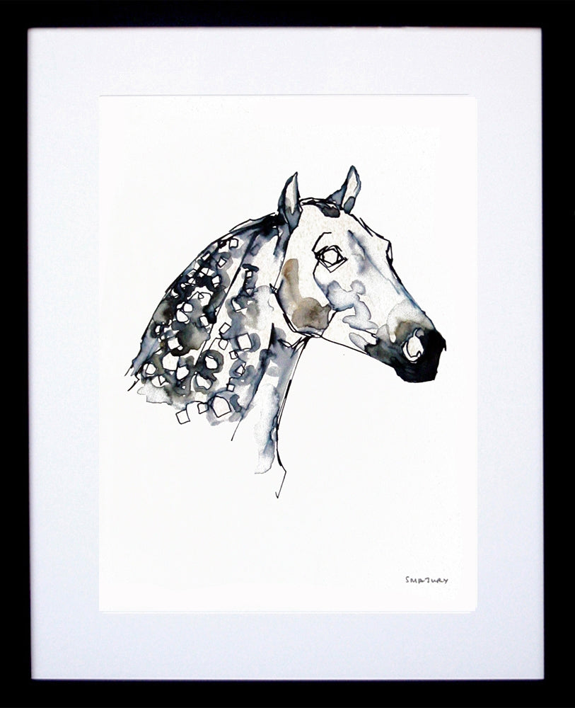 Animals Horse - Dappled Horse Colour Black Frame
