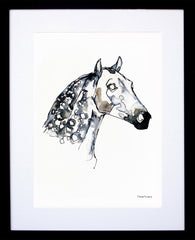 Animals Horse - Dappled Horse Colour Black Frame