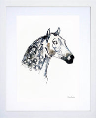 Animals Horse - Dappled Horse Colour White Frame