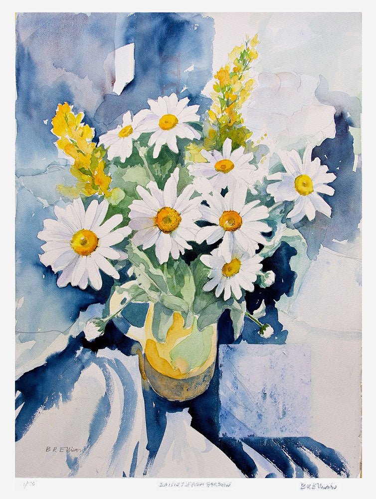 Print - Daisies From Garden Unframed