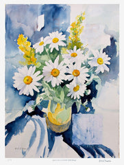 Print - Daisies From Garden Unframed