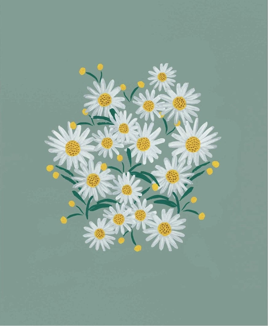 Daisies Sage