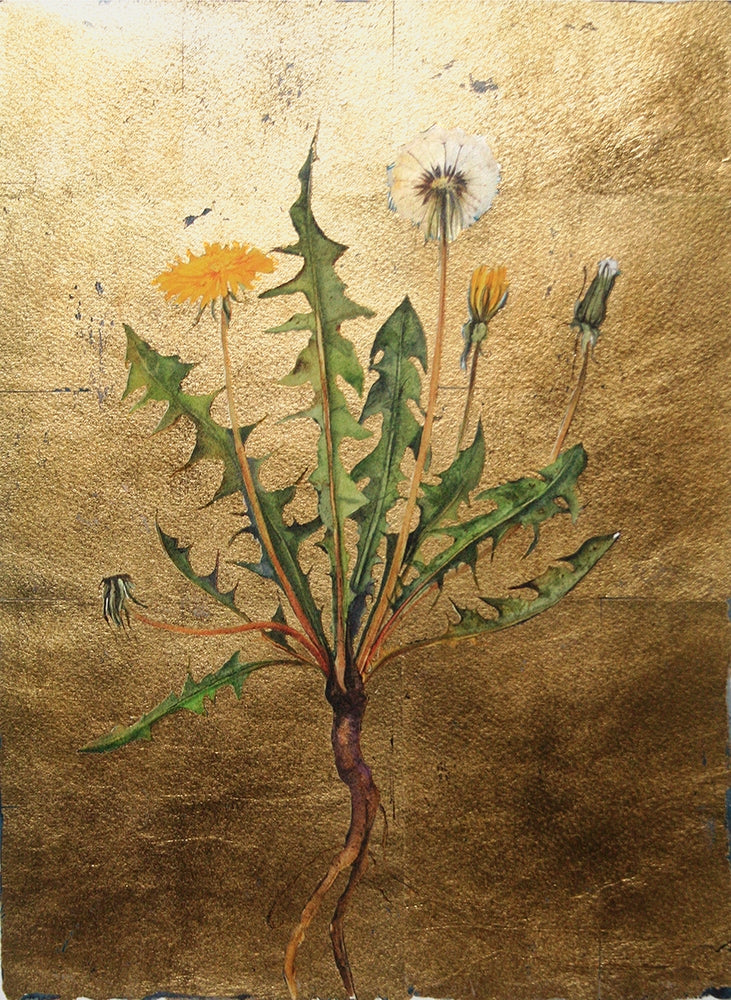 The Lost Words - Dandelion Premium Edition Artist Proof
