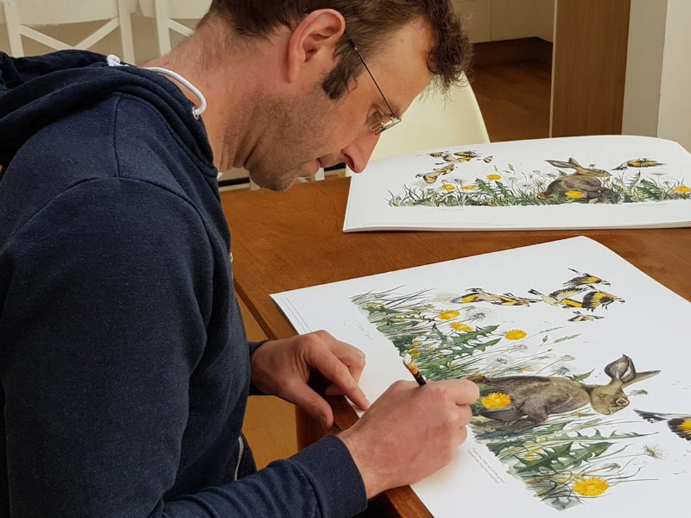 The Lost Words - Dandelion With Hare