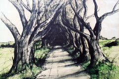 Sketchbook on Wood - The Dark Hedges