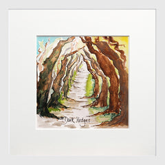 Dark Hedges Small Flat White Frame