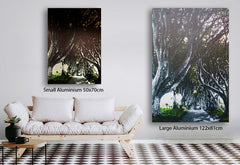 Co Antrim - Dark Hedges