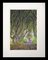 Co Antrim - The Dark Hedges-60 x 47.5-Flat Black Frame