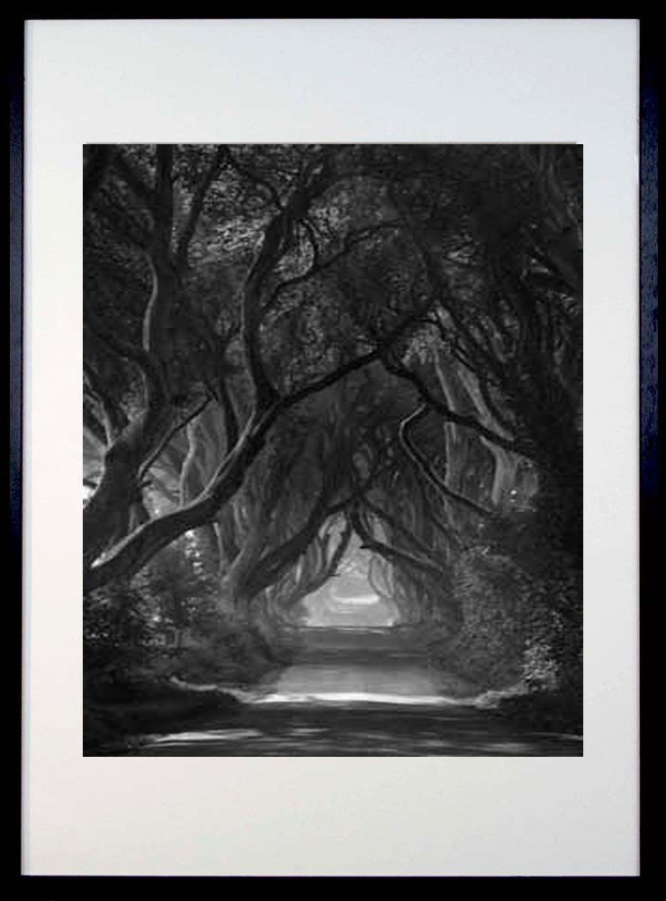Dark Hedges Mist Clearing Mono Black Frame 40x50