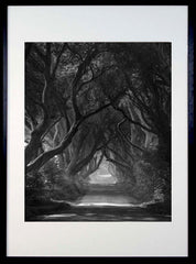 Dark Hedges Mist Clearing Mono Black Frame 40x50
