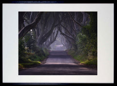 Dark Hedges Morning Mist Black Frame 40x50