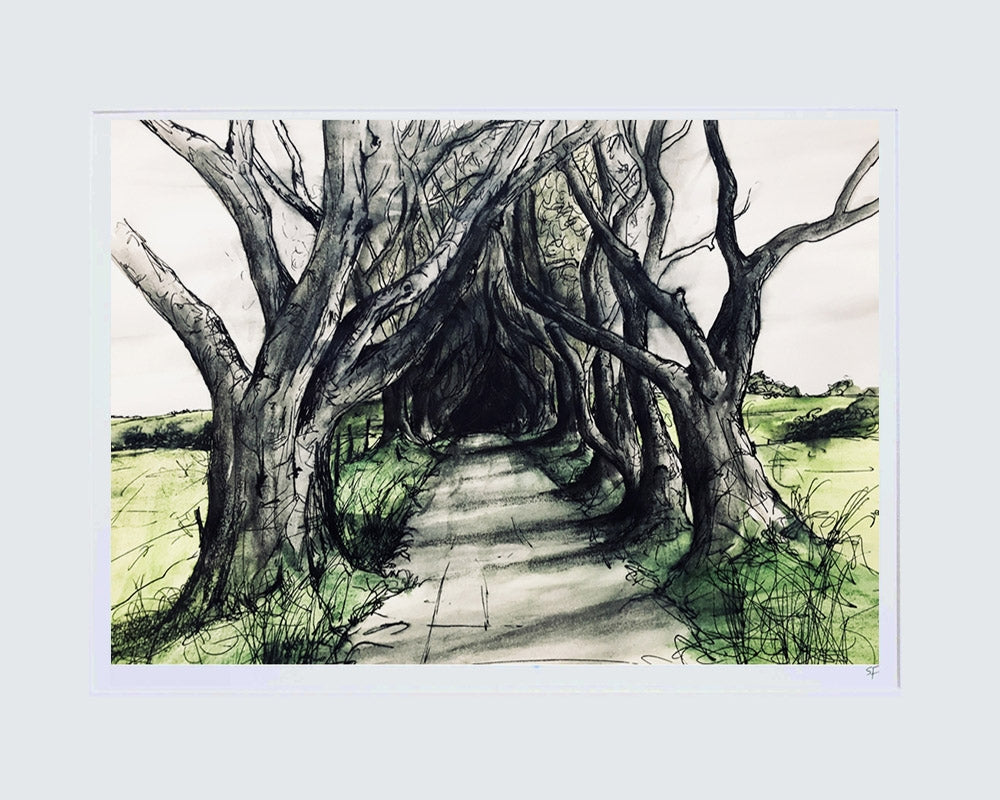 Sketchbook on Paper - Dark Hedges Unframed