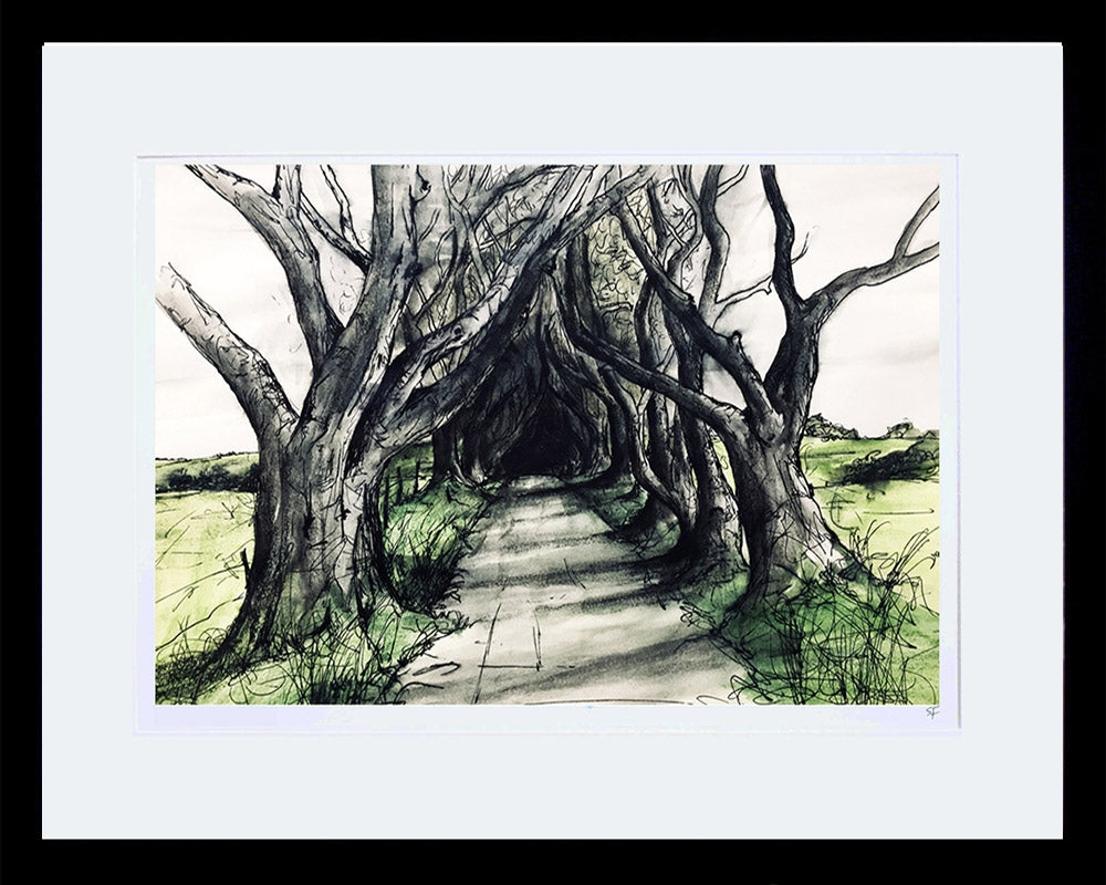 Sketchbook on Paper - Dark Hedges Framed