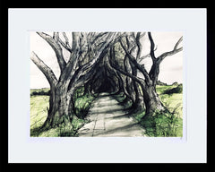 Sketchbook on Paper - Dark Hedges Framed