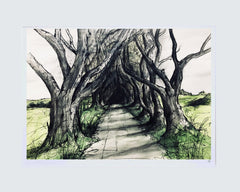 Sketchbook on Paper - Dark Hedges Unframed