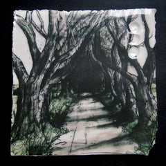 Memories - Dark Hedges