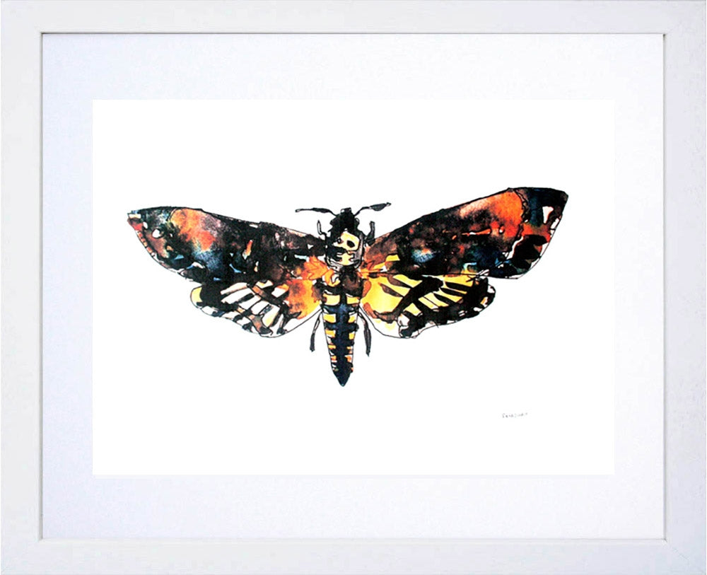 Animals Insect - Death Head Hawk Moth White Frame