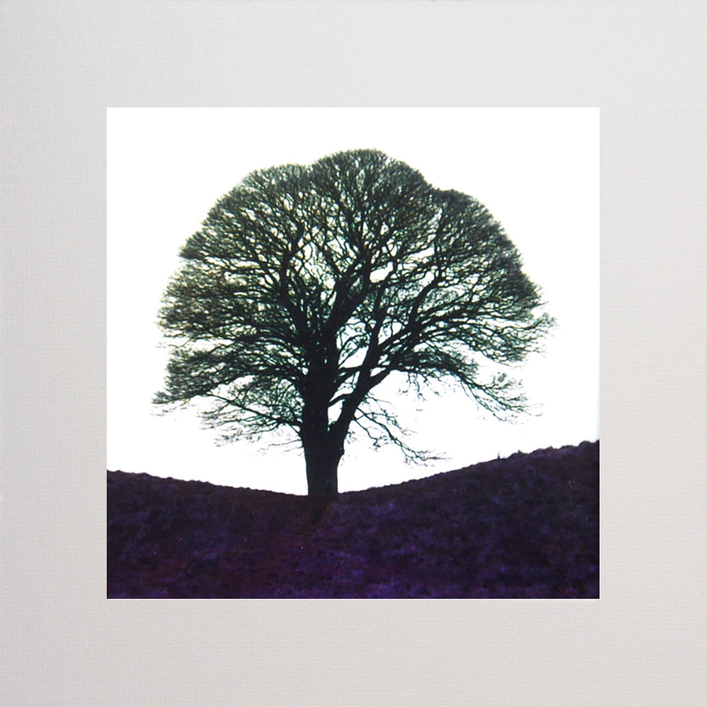 Giants Ring (Black) Unframed