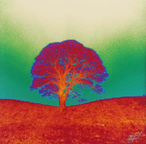 Giant's Ring In Green