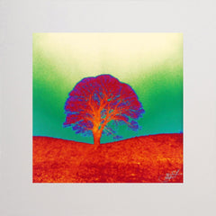 Giants Ring (Green) Unframed