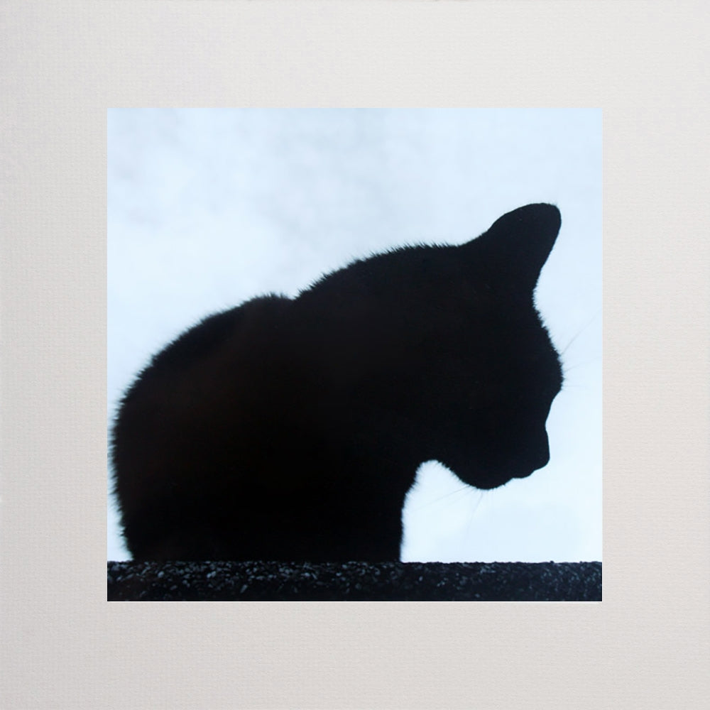 Lucky Black Cat In Black Unframed 12x12