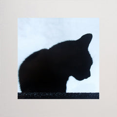 Lucky Black Cat In Black Unframed 7x7