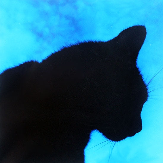 Lucky Black Cat In Blue