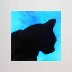 Lucky Black Cat In Blue Unframed 7x7