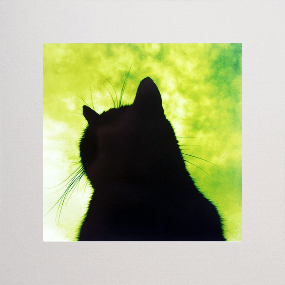 Lucky Black Cat In Green Unframed 7x7
