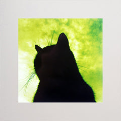 Lucky Black Cat In Green Unframed 12x12