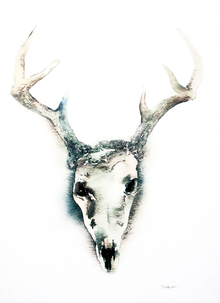 Animals Deer - Skull Unframed