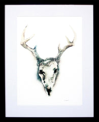 Animals Deer - Skull Frame Black