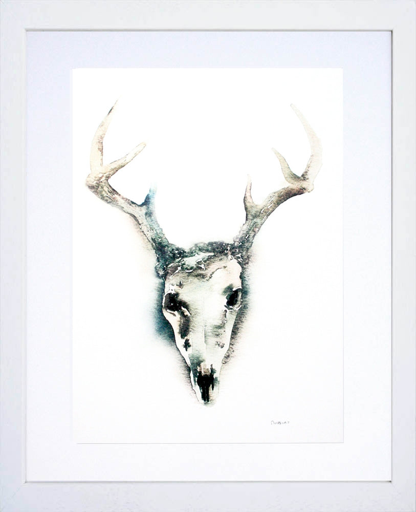 Animals Deer - Skull White Frame