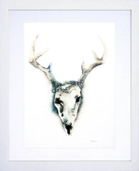 Animals Deer - Skull White Frame